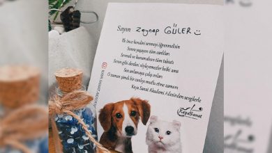 Sokaktaki Dostlarımıza Mama Ulaştırıyoruz