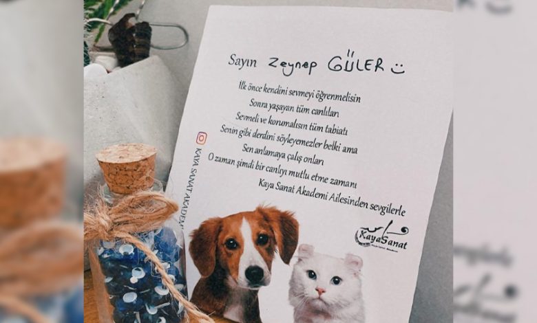 Sokaktaki Dostlarımıza Mama Ulaştırıyoruz