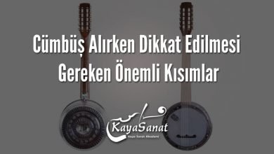Cümbüş Alırken Dikkat Edilmesi Gereken Önemli Kısımlar