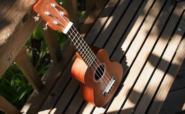 İzmir Ukulele Kursu