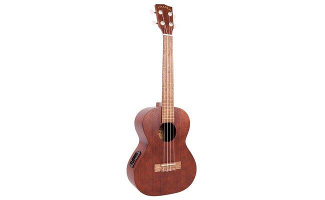 Online Ukulele Kursu