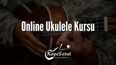 Online Ukulele Kursu