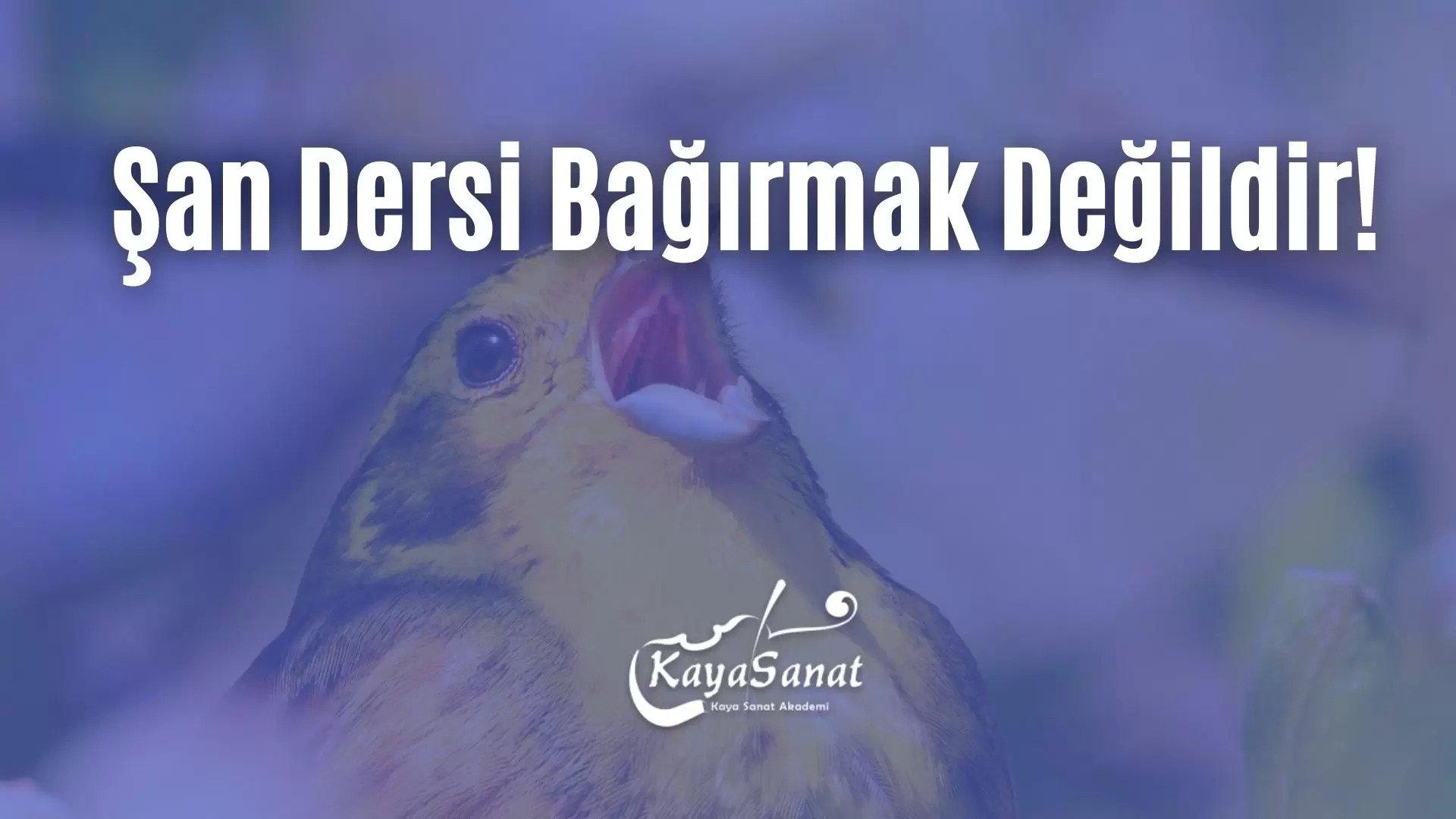 Şan Dersi Sizi Üzebilir!