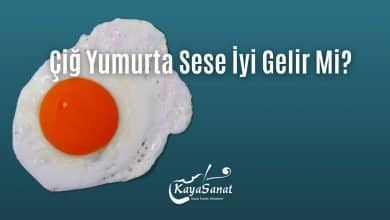 Çiğ Yumurta Sese İyi Gelir Mi?