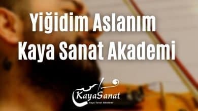 Yıldızlar altında keman notaları
