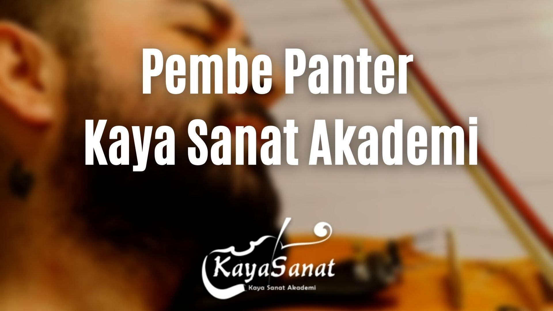Pembe Panter Keman Notaları