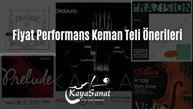 En İyi Fiyat Performans Keman Teli Önerileri!