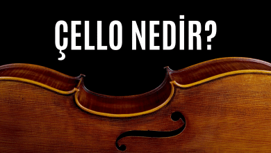Viyolonsel Nedir?