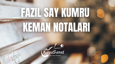 Fazıl Say