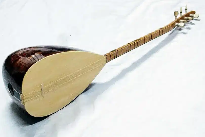 En İyi Bağlama Hangi Ağaçtan Yapılır?